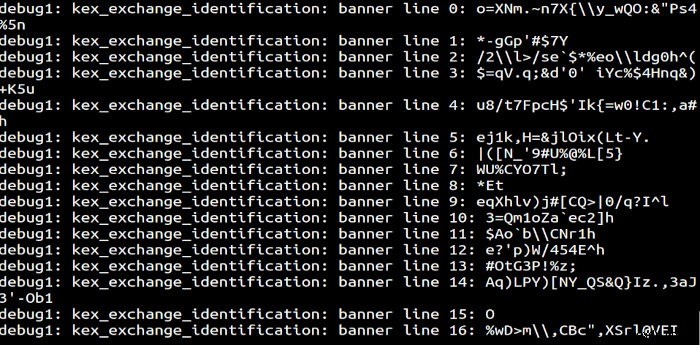 Cách tạo Honeypot SSH để bắt tin tặc trong máy chủ Linux của bạn 