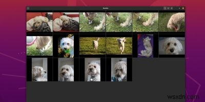 Cách sắp xếp và chia sẻ ảnh của bạn với Gnome Photos 