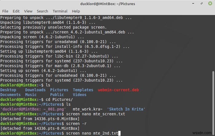 Cách đa nhiệm trong Linux Terminal với màn hình 
