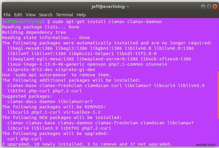 Cách quét một máy chủ Linux để tìm phần mềm độc hại và Rootkit 
