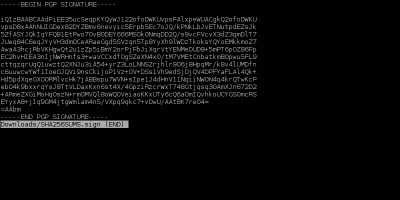 Cách xác minh tính xác thực của phần mềm Linux bằng chữ ký kỹ thuật số 