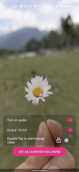 Cách tạo hình nền động và video trên Android 