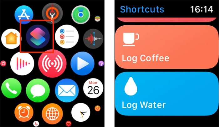 Cách sử dụng phím tắt Siri trên Apple Watch 