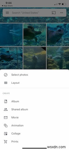 Hướng dẫn dành cho người mới bắt đầu về Google Photos 