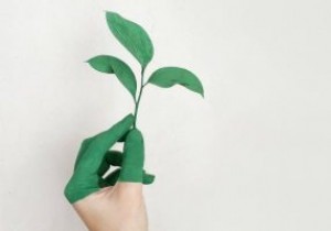 4 ứng dụng đơn giản giúp bạn trở nên thân thiện hơn với môi trường 