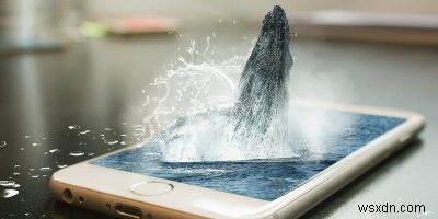 “Cá voi” trong trò chơi trên thiết bị di động là gì? 
