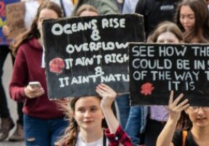 6 trang web tốt nhất để bắt đầu đơn thỉnh cầu trực tuyến 