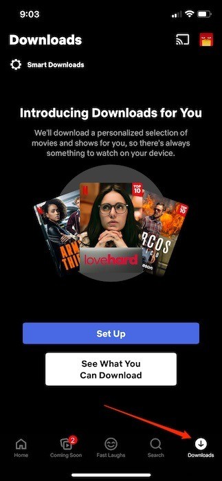 Cách tải xuống nội dung Netflix để xem ngoại tuyến 