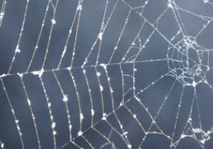 Sự khác biệt giữa Deep Web và Dark Web:Những điều bạn cần biết 