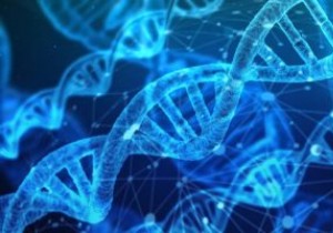 DNA của bạn có thể được bán lấy tiền như thế nào 