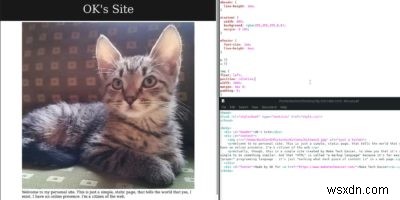 Hướng dẫn cho người mới bắt đầu về HTML và CSS 