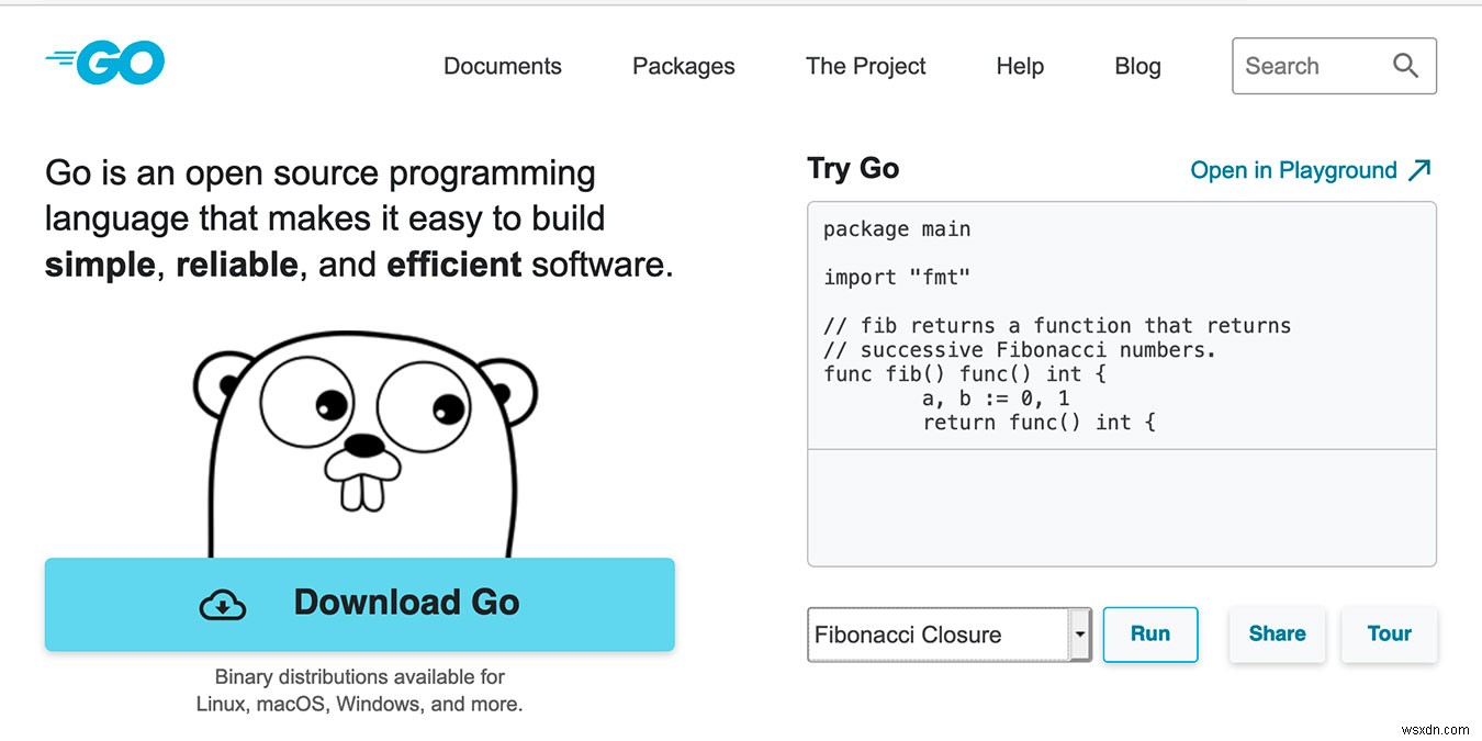 Golang và Java:Cuộc thách thức lập trình 