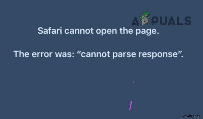 Không thể phân tích cú pháp phản hồi trong Safari? Đây là cách khắc phục 