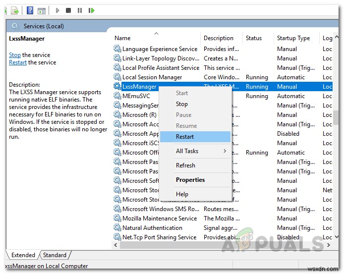 Làm thế nào để khắc phục lỗi ‘Localhost từ chối kết nối’ trên Windows? 