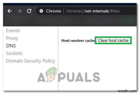 Cách khắc phục Không tìm thấy địa chỉ DNS máy chủ trên Google Chrome 