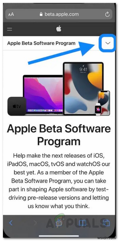 Cách cài đặt iOS 15 Public Beta?