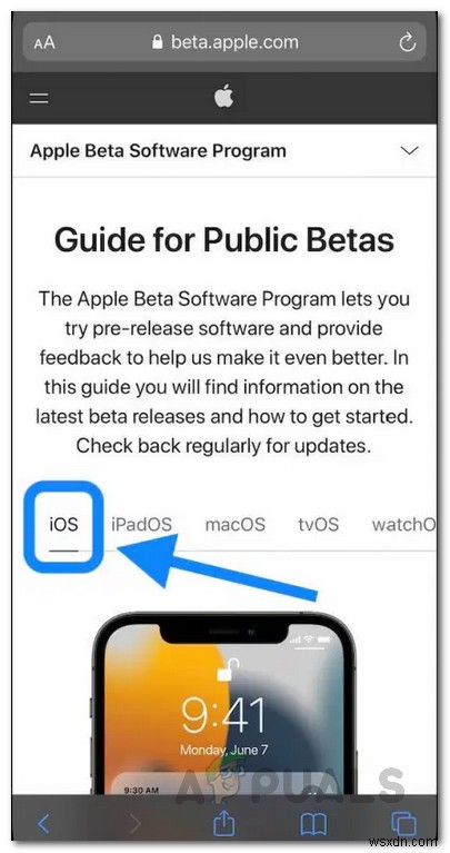 Cách cài đặt iOS 15 Public Beta?