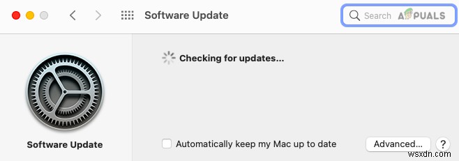 Tại sao mọi chủ sở hữu máy Mac nên cập nhật lên macOS BigSur 11.5.1