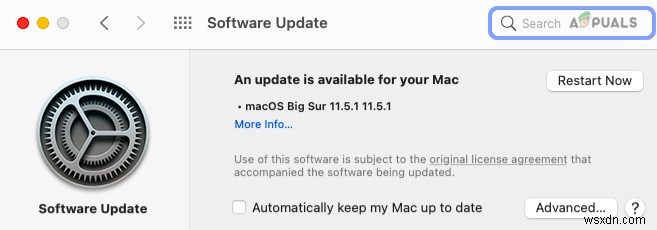 Tại sao mọi chủ sở hữu máy Mac nên cập nhật lên macOS BigSur 11.5.1