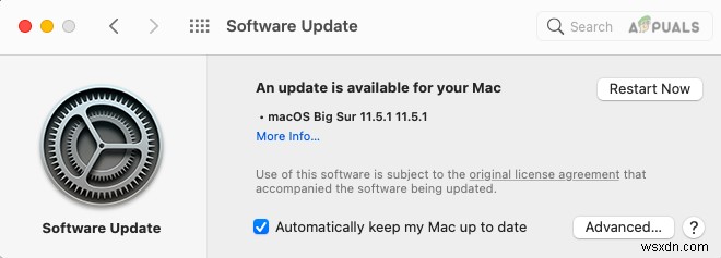 Tại sao mọi chủ sở hữu máy Mac nên cập nhật lên macOS BigSur 11.5.1