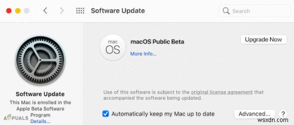 Cách cài đặt phiên bản macOS Monterey Beta 