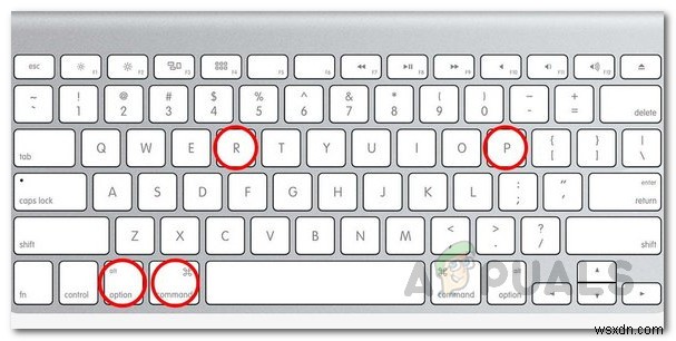 [FIX] Mac WiFi:Không có phần cứng được cài đặt 