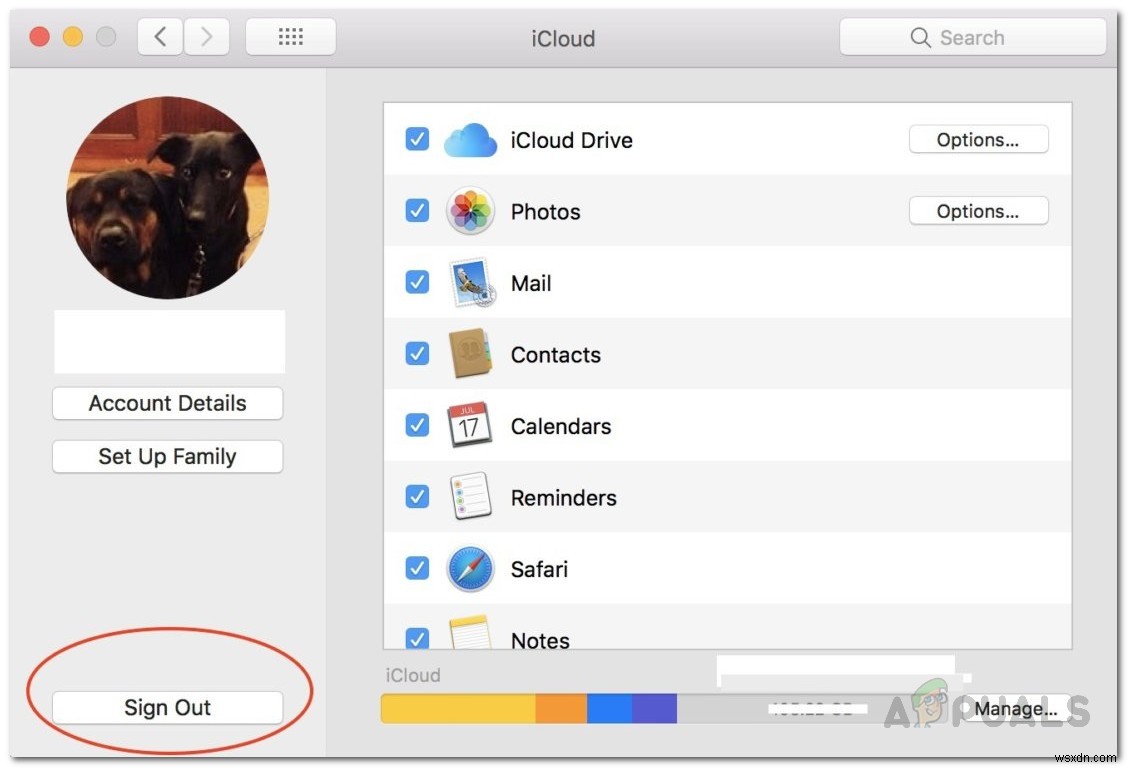 Cách khắc phục Mac không thể kết nối với iCloud? 