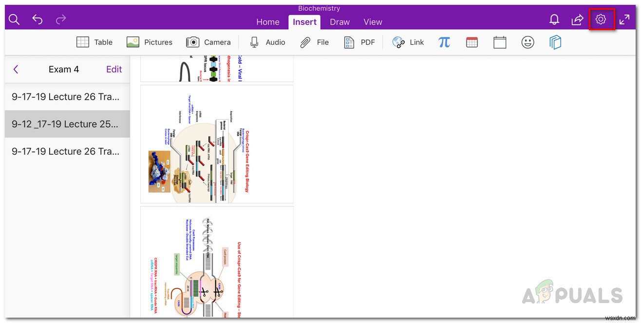 [FIX] OneNote Keeps Crashing trên iPad 