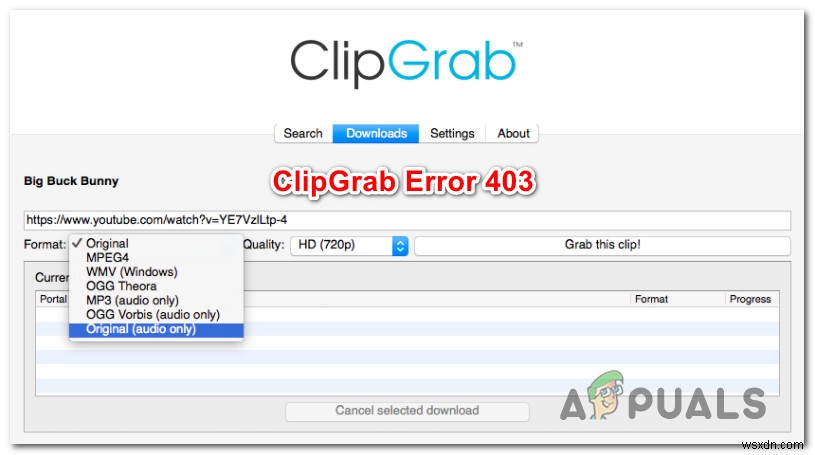 Sửa lỗi ClipGrab 403 trên Windows và MacOS 