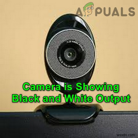 Làm thế nào để sửa lỗi đầu ra của máy ảnh ở chế độ đơn điệu đen trắng? 