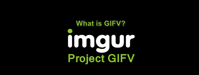 GIFV là gì và Cách lưu GIFV dưới dạng GIF? 