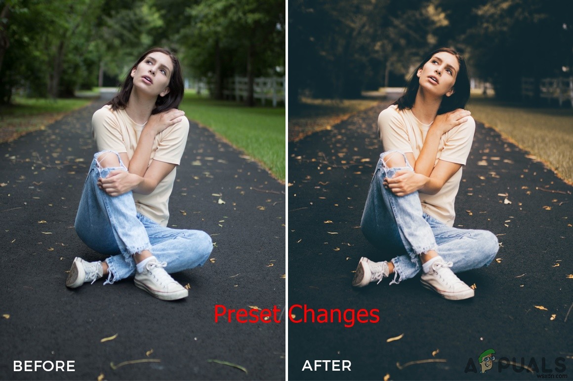 Làm thế nào để cài đặt Presets trong Lightroom? 