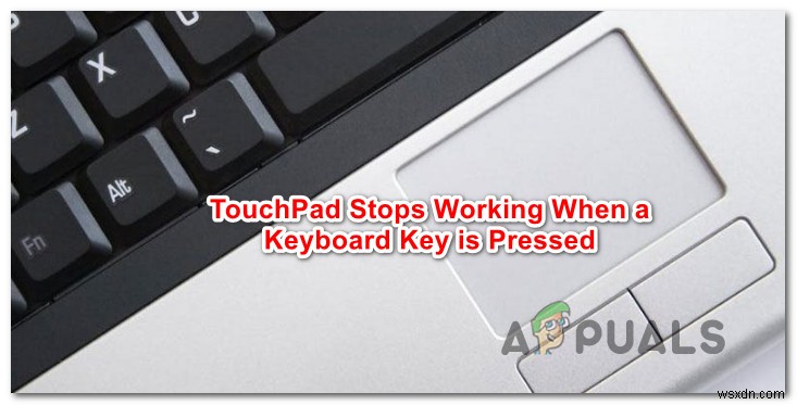 Cách khắc phục Touchpad không hoạt động khi giữ phím bàn phím 
