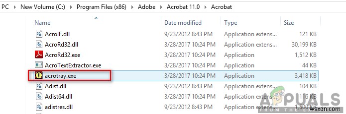 Cách vô hiệu hóa Adobe AcroTray.exe từ khi khởi động 