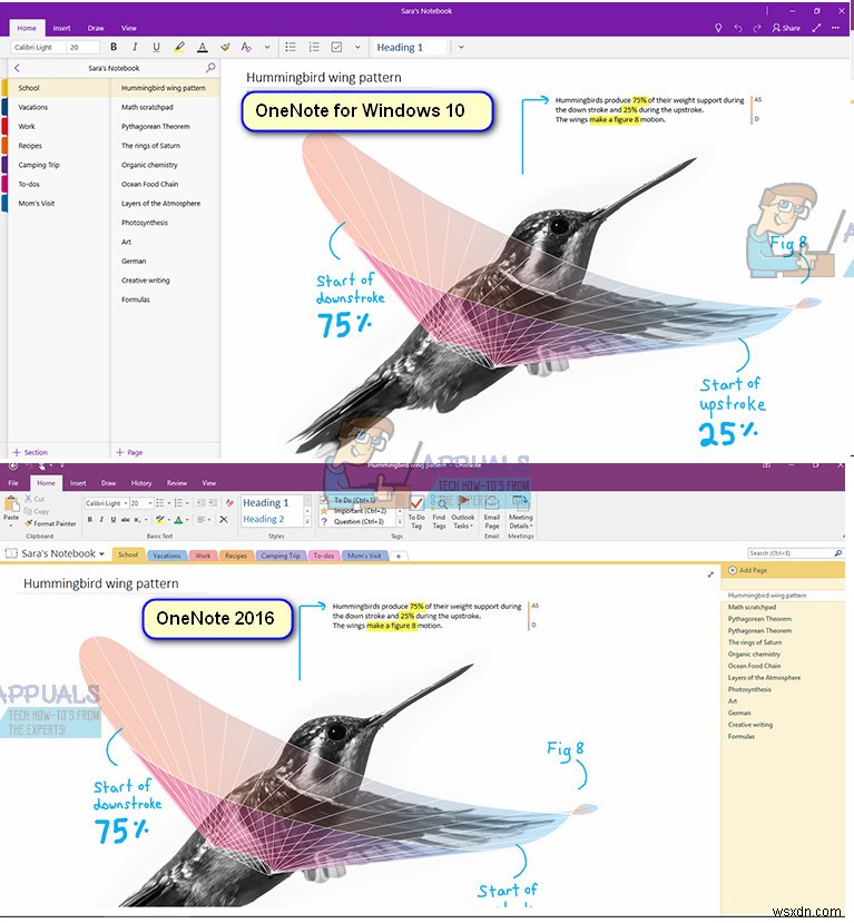 Cách cài đặt OneNote 2016 thay vì OneNote 