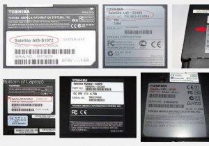 Bộ điều khiển xe buýt SM và Trình điều khiển của nó 