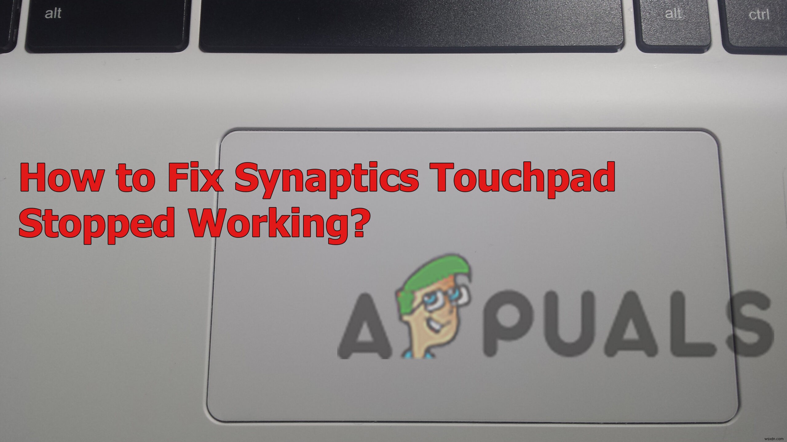 Synaptics Touchpad không hoạt động? Hãy thử các bản sửa lỗi này! 