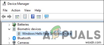 Làm thế nào để khắc phục tính năng nhận dạng khuôn mặt không khả dụng trên Windows Hello? 