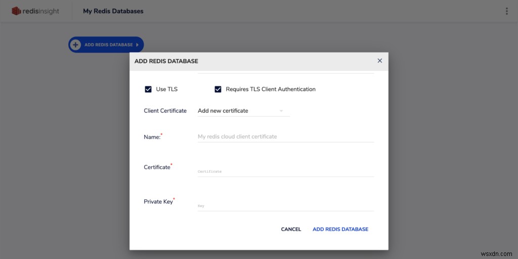 RedisInsight 1.6 mang đến hỗ trợ RedisGears và khả năng tương thích ACL của Redis 6 