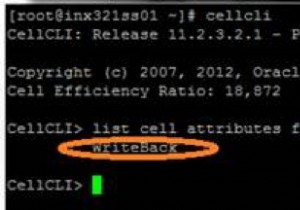 Tính năng Oracle Exadata Flash Cache 