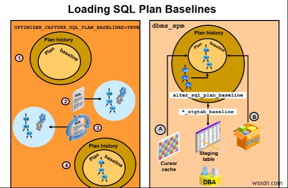 Cấu hình và đường cơ sở của Oracle SQL 