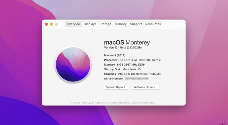 Cách khôi phục tệp bị mất sau khi cập nhật macOS Monterey