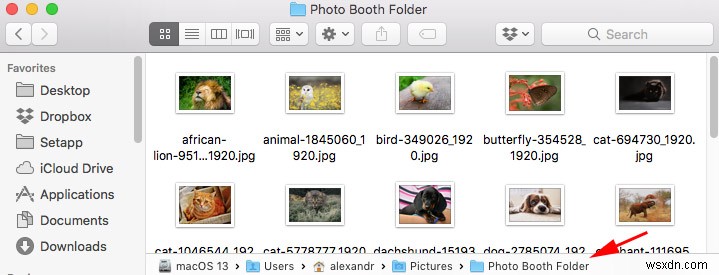 3 cách khôi phục ảnh từ Photo Booth trên máy Mac
