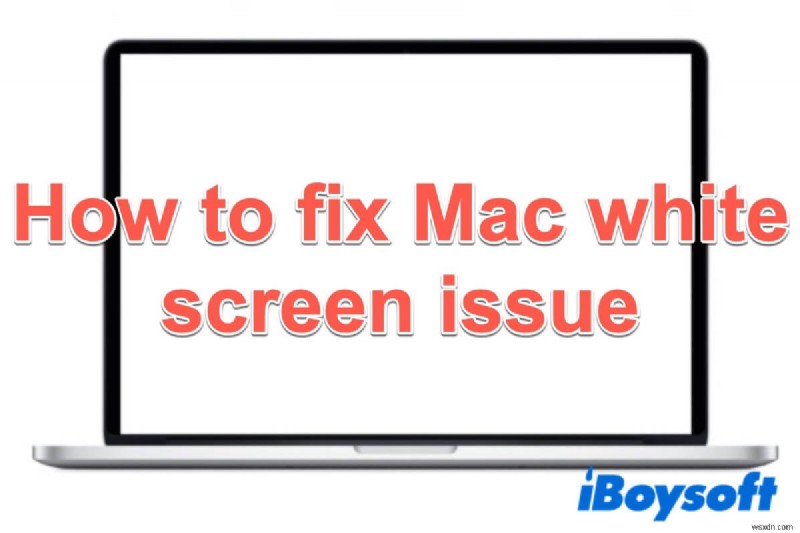 Cách sửa lỗi màn hình trắng trên máy Mac khi khởi động?