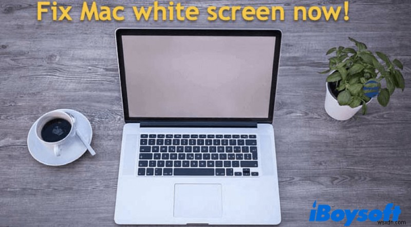 Cách sửa lỗi màn hình trắng trên máy Mac khi khởi động?