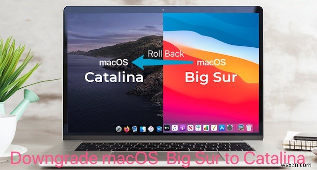 Cách hạ cấp Mac OS:Big Sur xuống Catalina hoặc Monterey thành Big Sur