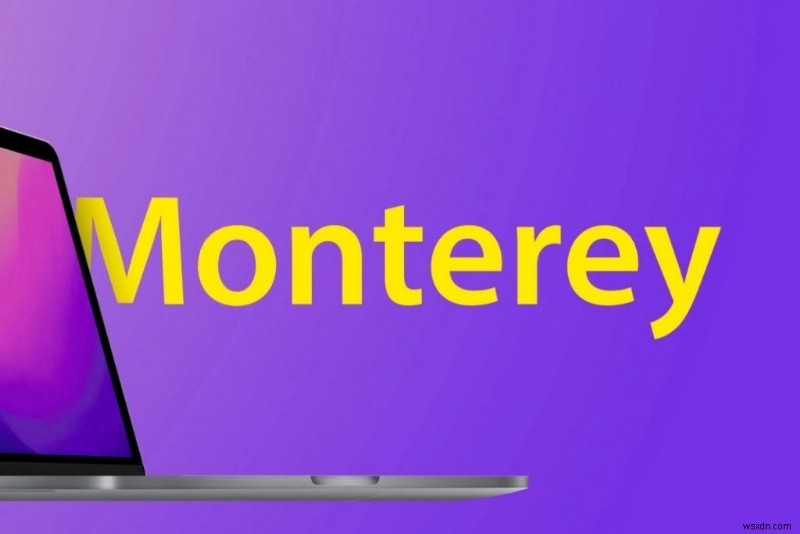 cài đặt macOS Monterey 12.4 bị kẹt? Hãy thử các bản sửa lỗi này
