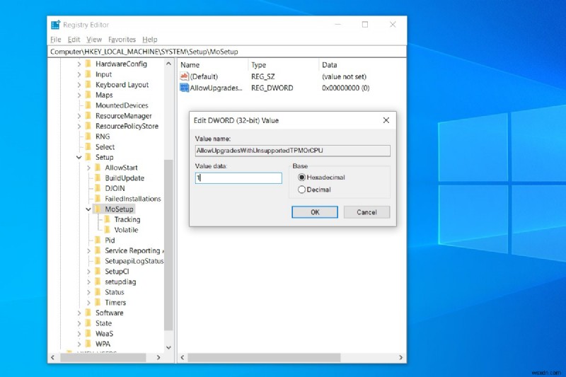Cách dừng cập nhật tự động trong Windows 11