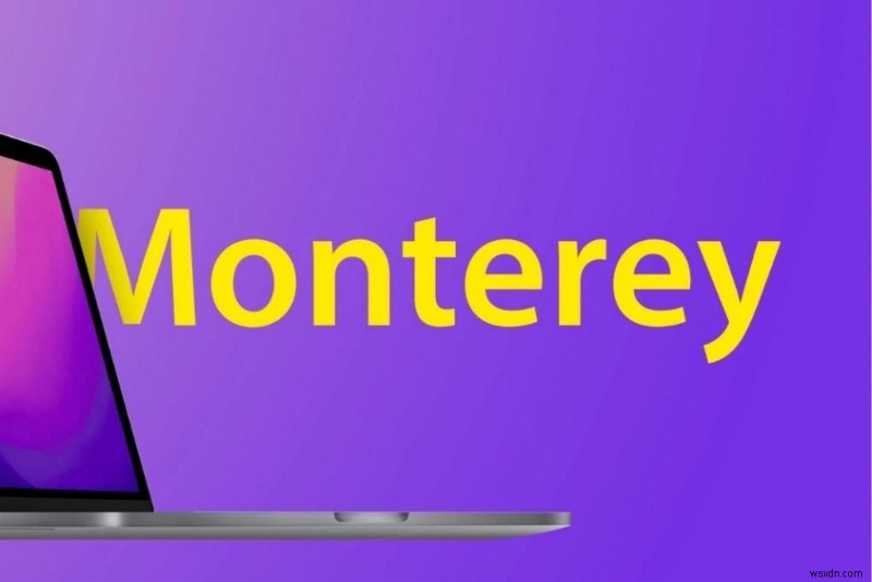 Không thể tìm thấy tài khoản quản trị viên trong MacOS Monterey? Hãy thử các bản sửa lỗi này