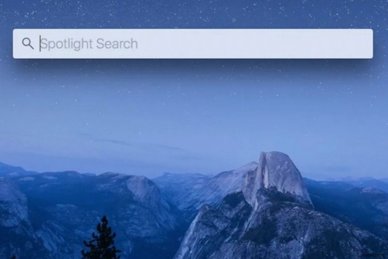 Tìm kiếm tiêu điểm không hoạt động sau khi cập nhật macOS Monterey